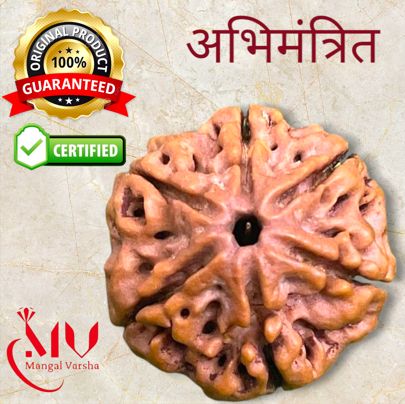 6 Mukhi Rudraksha