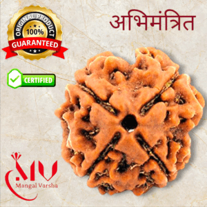 4 Mukhi Rudraksha