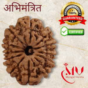 12 Mukhi Rudraksha