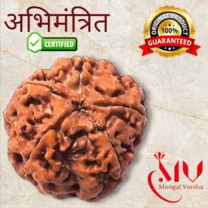 5 Mukhi Rudraksha