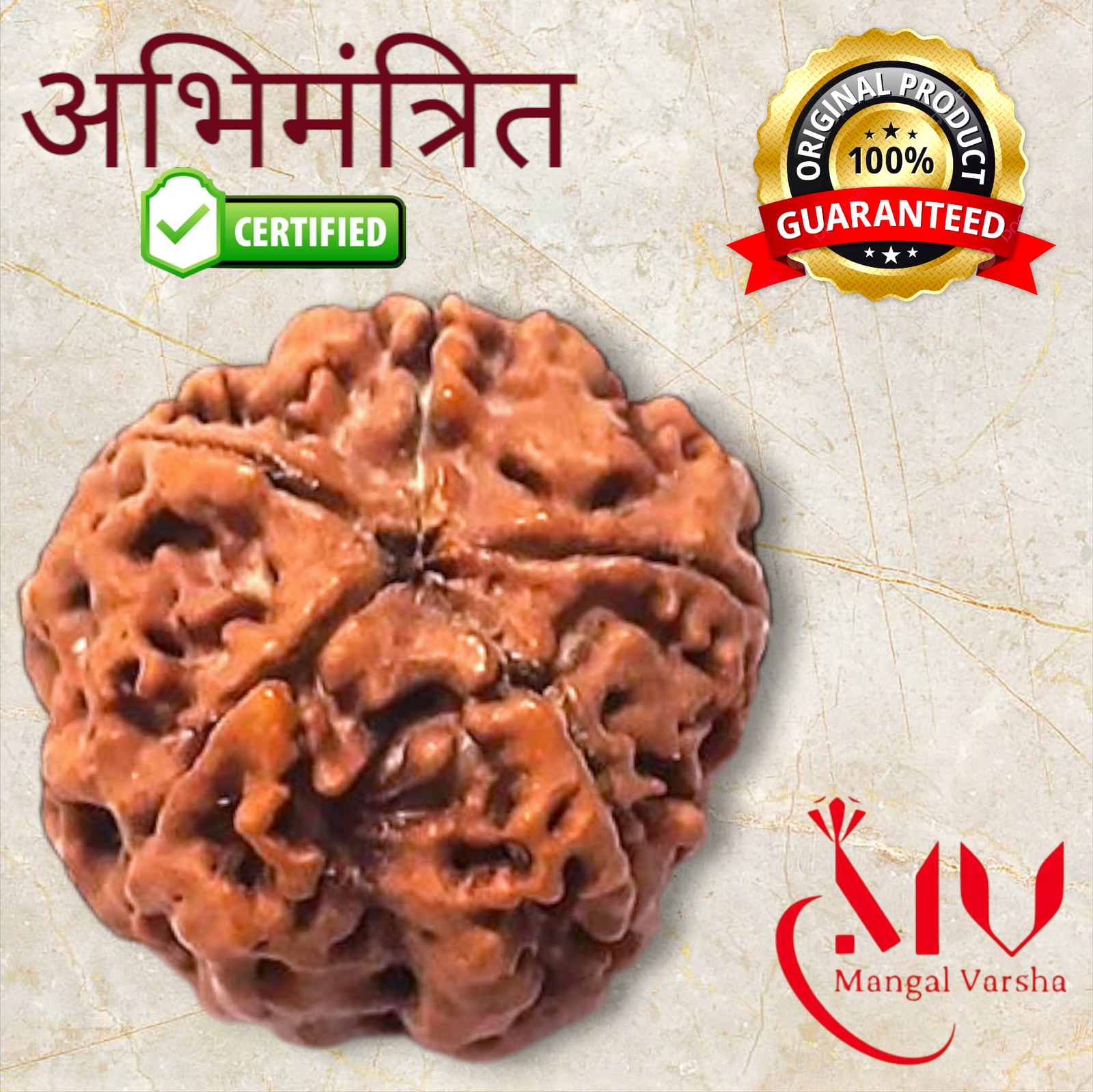 5 Mukhi Rudraksha
