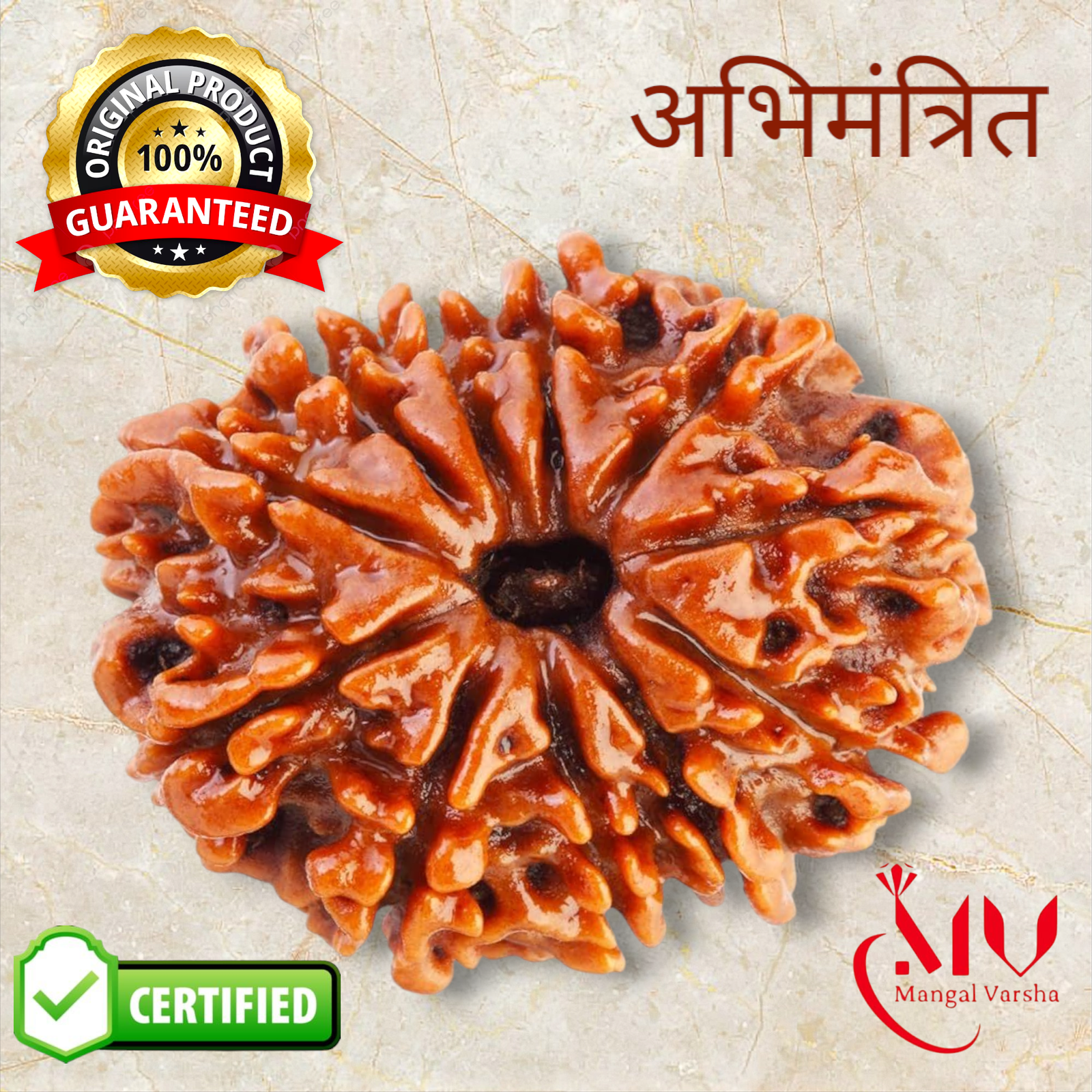 11 Mukhi Rudraksha