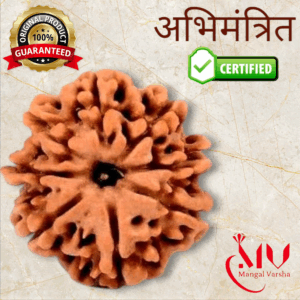 8 Mukhi Rudraksha