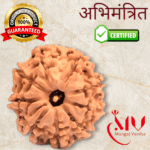 9 Mukhi Rudraksha
