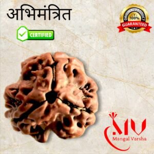 3 Mukhi Rudraksha