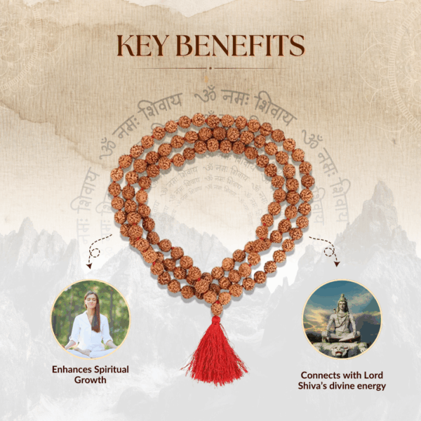 Rudraksha Mala - Image 2
