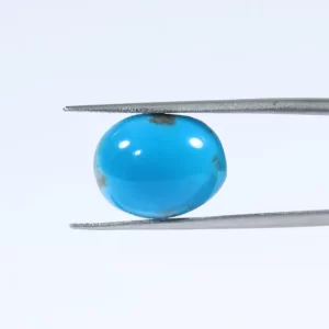 Turquoise 5.79 Ct.