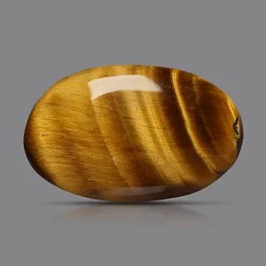 Tiger Eye - 19.42 Carats