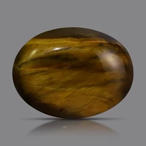 Tiger Eye 20x15 MM - 16.54 Carats