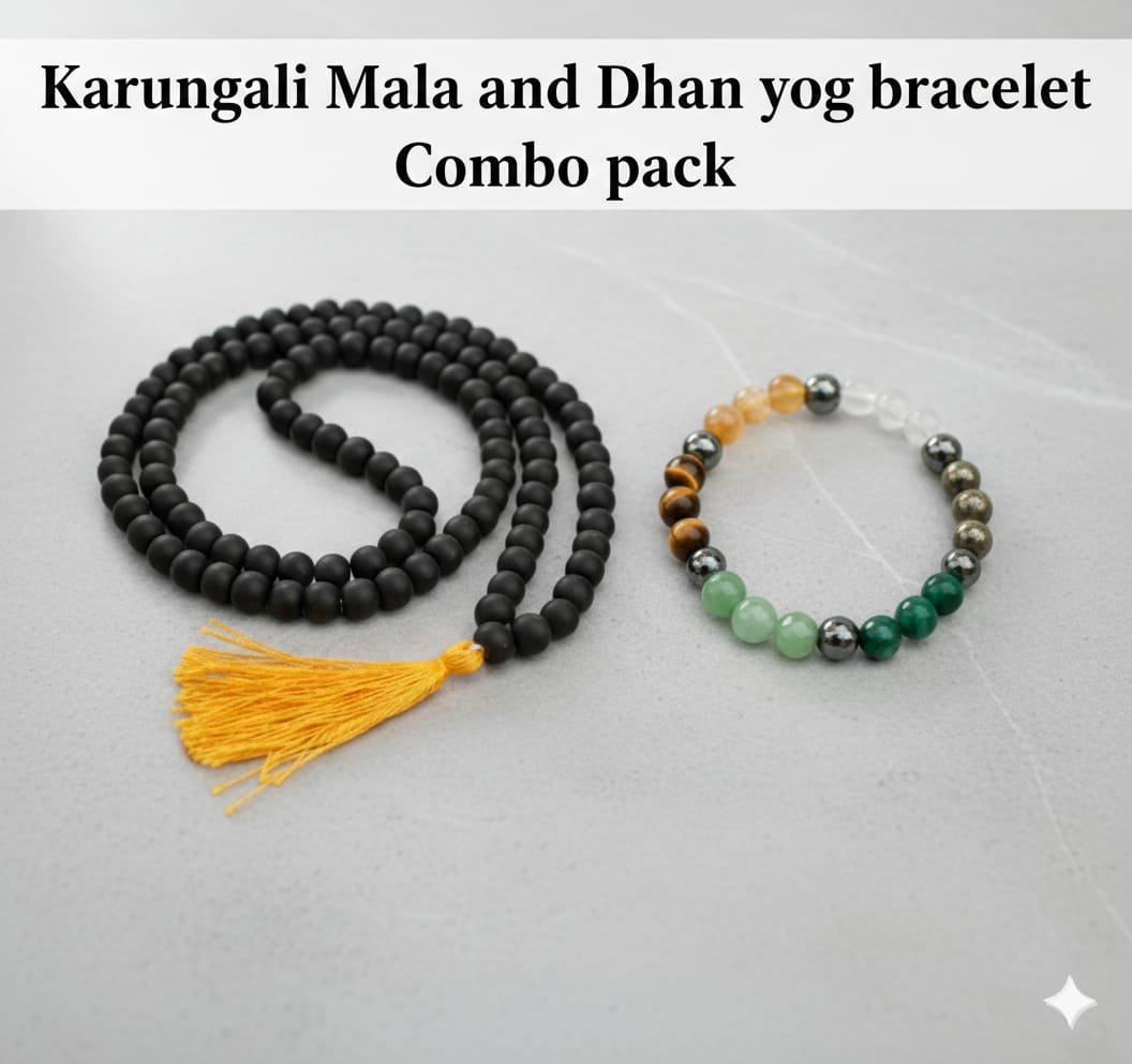 WhatsApp Image 2026-02-25 at 7.51