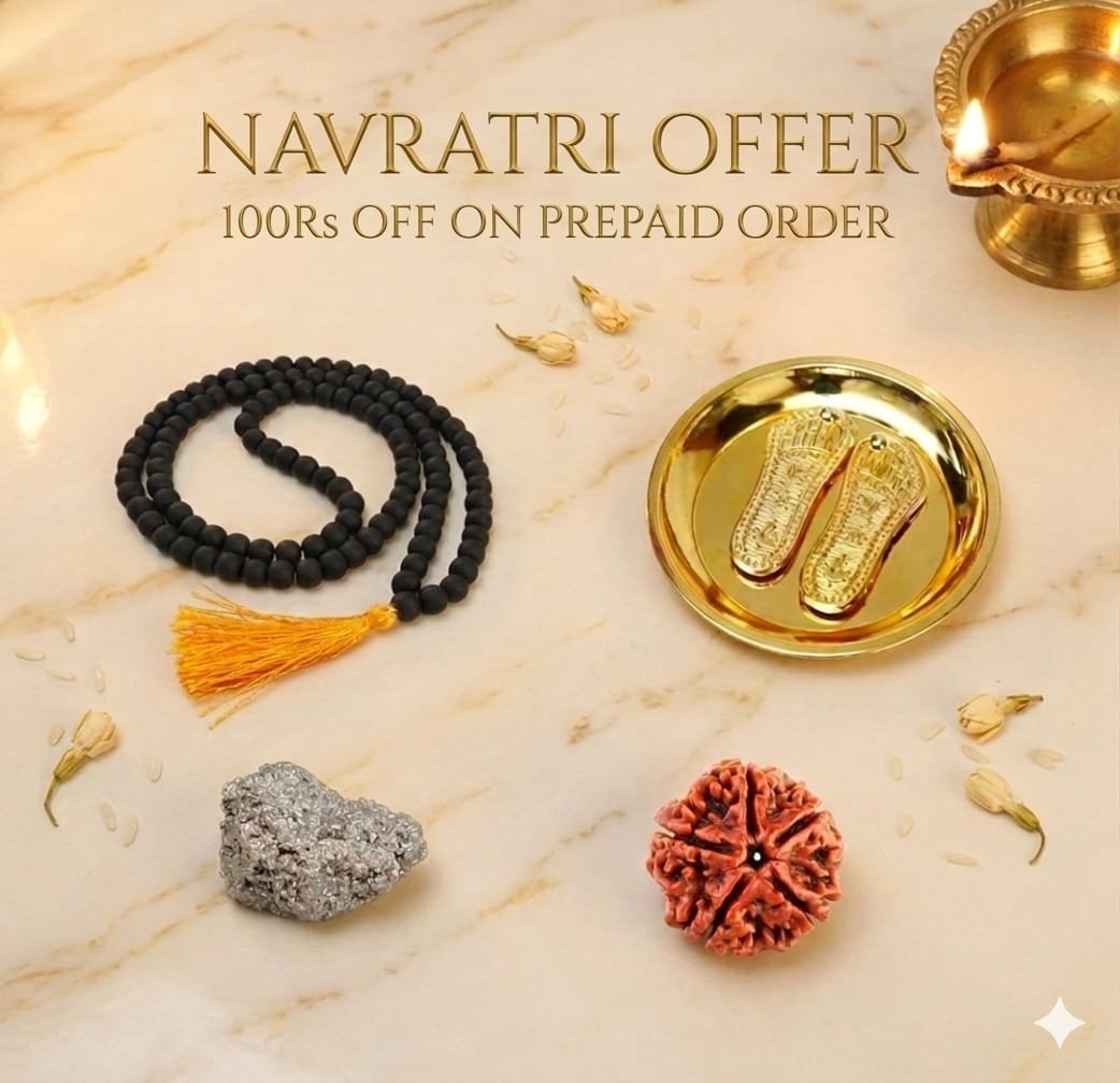 WhatsApp Image 2026-03-11 at 11.56